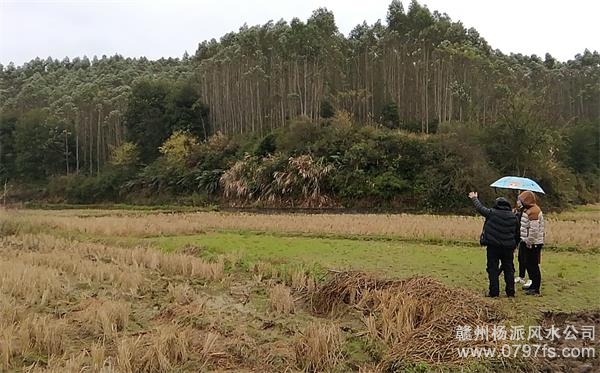 连江县陈老师带着爱徒寻龙点穴